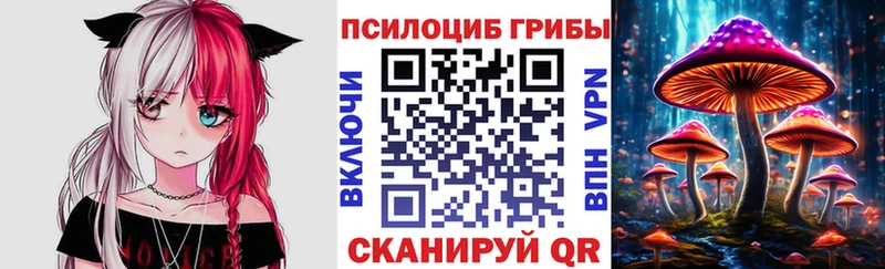 хочу наркоту  Кашира  Псилоцибиновые грибы прущие грибы 